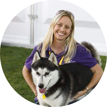 Energetic Panacea Where Pets Are Family Vet Clinic In Dubai
